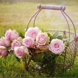 Meet your Posher, Tiffany